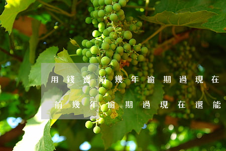 用錢寶前幾年逾期過現在還能借嗎-用錢寶前幾年逾期過現在還能借嗎