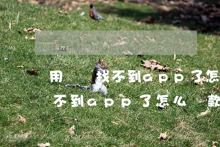 用錢寶找不到app了怎么還款-用錢寶找不到app了怎么還款了