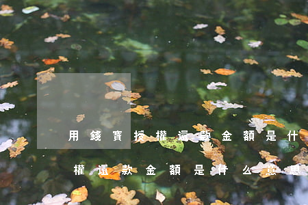 用錢寶授權還款金額是什么意思-用錢寶授權還款金額是什么意思啊