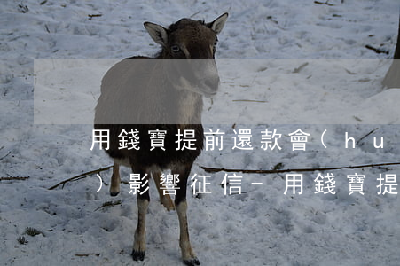 用錢寶提前還款會(huì)不會(huì)影響征信-用錢寶提前還款會(huì)不會(huì)影響征信記錄
