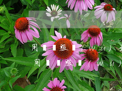 用錢寶服務(wù)到期了今后怎么還款-用錢寶服務(wù)到期了今后怎么還款呢