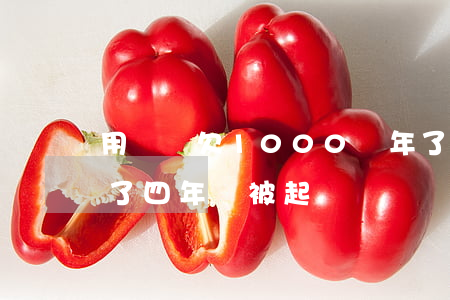 用錢寶欠1000兩年了(用錢寶一千塊錢欠了四年會被起訴嗎)
