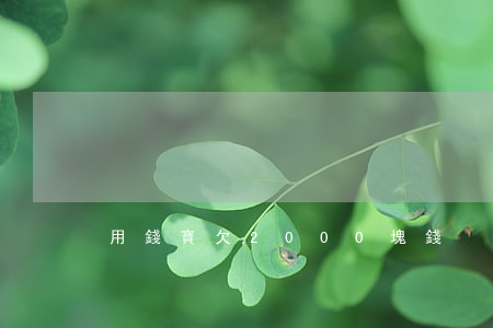 用錢寶欠2000塊錢