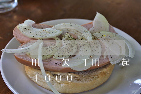 用錢寶欠一千(用錢寶起訴是真的假的我欠款1000塊錢)