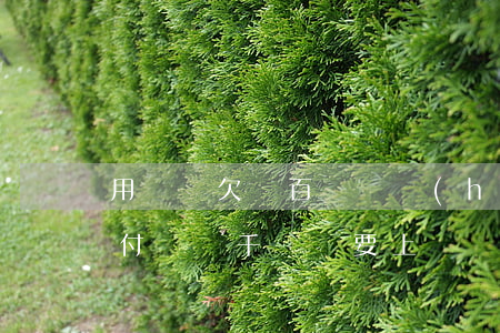 用錢寶欠幾百塊錢會(huì)上門嗎(欠支付寶幾千塊錢要上門嗎)