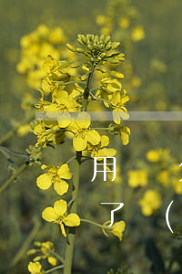 用錢寶欠款三千逾期三年(用錢寶逾期兩年多了,現(xiàn)在也沒有催收了怎么回事)