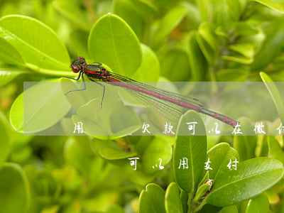 用錢寶欠款可以在微信還款嗎(欠了支付寶的錢還可以用支付寶嗎)
