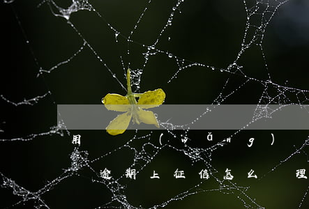 用錢寶網(wǎng)貸逾期上征信嗎(支付寶逾期上征信怎么處理掉)