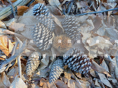 用錢寶貸款逾期會怎樣(用錢寶逾期還進去了錢還可以借出來嗎)