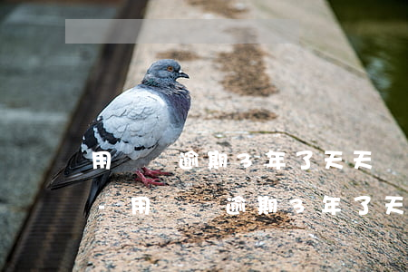 用錢寶逾期3年了天天給我發(fā)信息-用錢寶逾期3年了天天給我發(fā)信息怎么辦