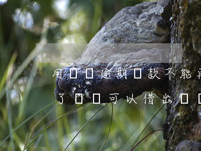 用錢寶逾期還款不能再借(用錢寶逾期還進去了錢還可以借出來嗎)