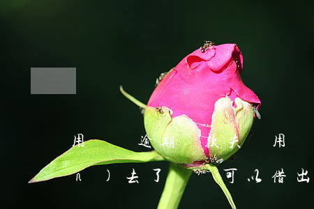 用錢寶逾期還款失敗(用錢寶逾期還進(jìn)去了錢還可以借出來嗎)
