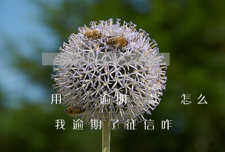 用錢寶逾期還款會怎么樣(用錢寶倒閉了,但是我逾期了,征信咋辦)