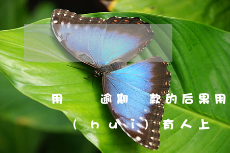 用錢寶逾期還款的后果(用錢寶逾期不還真的會(huì)有人上門催收嗎)