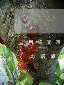 用錢寶還款后額度提升5000-用錢寶還款后額度提升5000元
