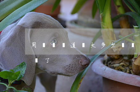 用錢寶馮道濤欠多少錢(馮寶成要發(fā)錢了)