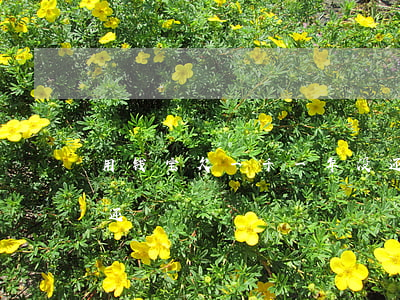 用钱宝欠一千一年没还(用钱宝欠一千一年没还)