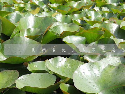 用钱宝欠三千不还会怎么样(借了用钱宝三千没还会怎样)