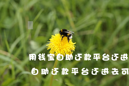 用钱宝自助还款平台还进去可以吗-用钱宝自助还款平台还进去可以吗安全吗