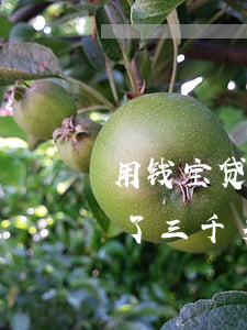用钱宝贷款2000逾期(用钱宝逾期一年欠了三千多说交给当地法院处理)