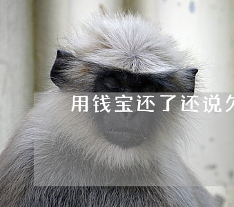 用钱宝还了还说欠500(用钱宝没还)