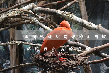 用钱宝逾期发律师函(用钱宝逾期了发信息失信通告函真的假的)