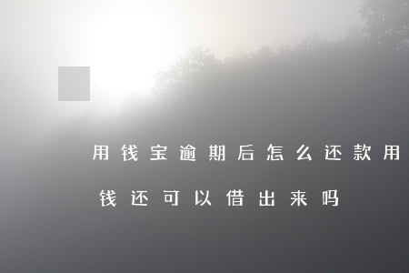 用钱宝逾期后怎么还款(用钱宝逾期还进去了钱还可以借出来吗)