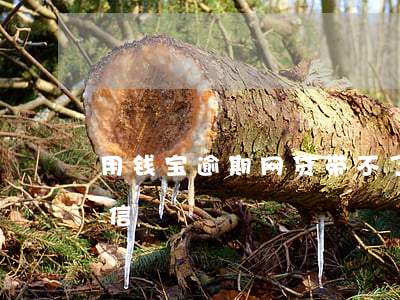 用钱宝逾期网贷带不了(用钱宝网贷上不上征信)