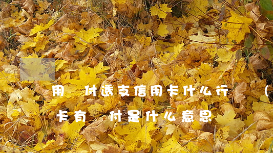 用閃付透支信用卡什么行為(儲(chǔ)蓄卡有閃付是什么意思)