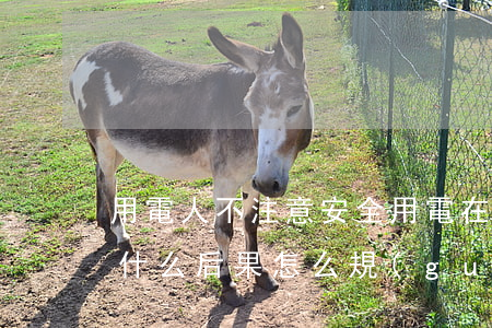用電人不注意安全用電,在合同法上可能面臨什么后果怎么規(guī)定
