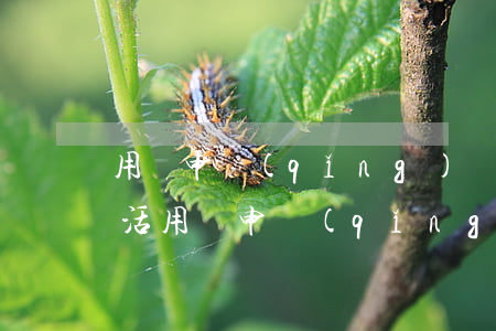 用電申請(qǐng)書(shū)范文(生活用電申請(qǐng)書(shū)格式范文)