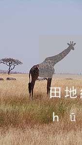 田地繼承怎么寫(xiě)(土地繼承書(shū)怎么寫(xiě)范本)