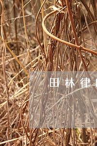 田林律師天津(天津世林律師事務(wù)所)