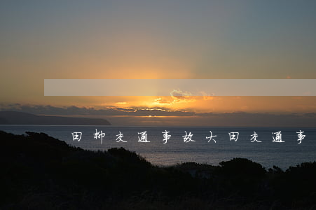 田柳交通事故(大田交通事故新聞)