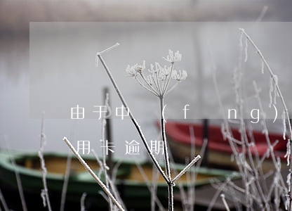 由于中風(fēng)信用卡逾期 因服刑信用卡逾期
