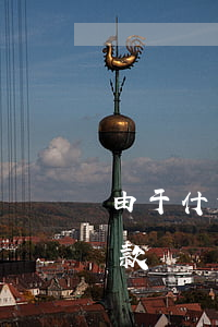 由于什么原因逾期貸款(由于什么原因逾期貸款)