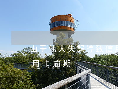 由于他人失誤導致信用卡逾期(因疾病導致信用卡逾期)