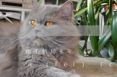 由于信用卡年費(fèi)造成逾期(信用卡年費(fèi)產(chǎn)生逾期怎么辦)
