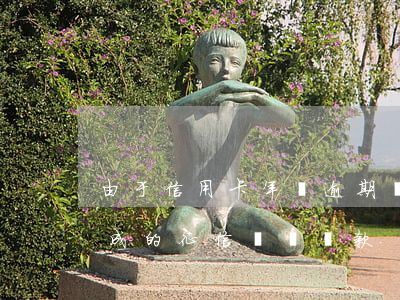 由于信用卡年費逾期導致的征信(年費逾期造成的征信問題貸款)