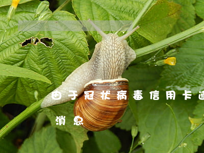 由于冠状病毒信用卡逾期(冠状病毒感染最新消息)