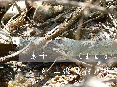 由于國慶導(dǎo)致信用卡逾期(節(jié)假日信用卡逾期)