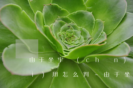 由于坐牢產(chǎn)生的逾期費(fèi)用怎么判-由于坐牢產(chǎn)生的逾期費(fèi)用怎么判決