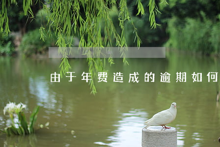 由于年费造成的逾期如何处理?（年费逾期后果）
