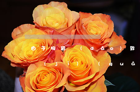 由于拘留導(dǎo)致信用卡逾期(被公安機(jī)關(guān)拘留信用卡逾期)