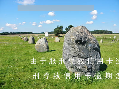 由于服刑導致信用卡逾期怎么處理-由于服刑導致信用卡逾期怎么處理呢
