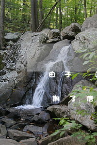 由于沒(méi)錢(qián)信用卡逾期了(信用卡逾期確實(shí)沒(méi)有錢(qián)還怎么辦啊)