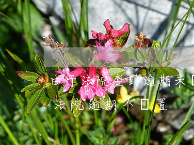 由于法院查封逾期未檢驗(yàn)(首查封法院逾期不處置)