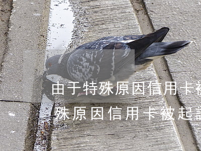 由于特殊原因信用卡被起訴怎么辦-由于特殊原因信用卡被起訴怎么辦理