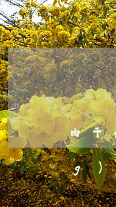由于生意失敗無(wú)力償還網(wǎng)貸怎么辦-由于生意失敗無(wú)力償還網(wǎng)貸怎么辦呢