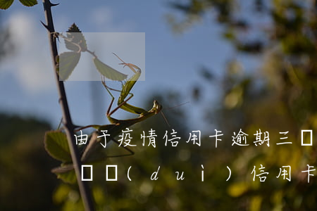 由于疫情信用卡逾期三個(gè)月(疫情期間對(duì)信用卡逾期的政策)